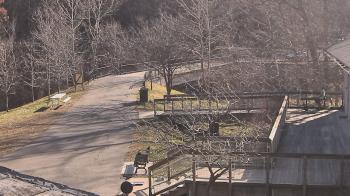 Weather camera view of Lake Roland Nature Council.