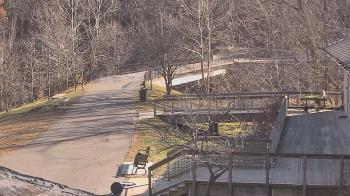 Weather camera view of Lake Roland Nature Council.