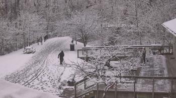 Weather camera view of Lake Roland Nature Council.