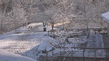 Weather camera view of Lake Roland Nature Council.