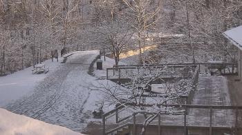Weather camera view of Lake Roland Nature Council.