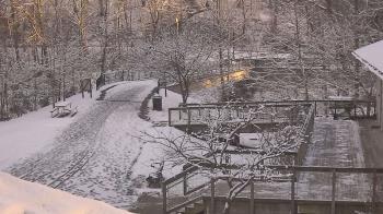 Weather camera view of Lake Roland Nature Council.