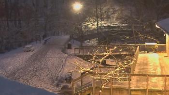 Weather camera view of Lake Roland Nature Council.