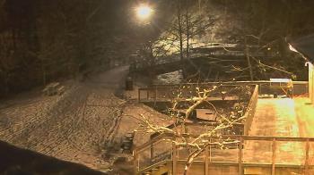 Weather camera view of Lake Roland Nature Council.