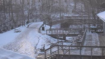 Weather camera view of Lake Roland Nature Council.