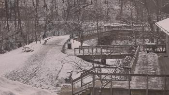 Weather camera view of Lake Roland Nature Council.