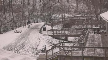 Weather camera view of Lake Roland Nature Council.
