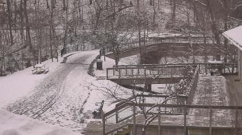 Weather camera view of Lake Roland Nature Council.