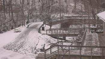 Weather camera view of Lake Roland Nature Council.
