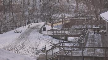 Weather camera view of Lake Roland Nature Council.