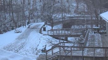Weather camera view of Lake Roland Nature Council.