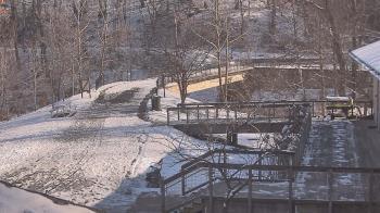 Weather camera view of Lake Roland Nature Council.