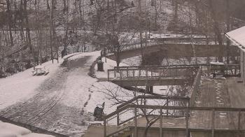 Weather camera view of Lake Roland Nature Council.