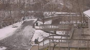 Weather camera view of Lake Roland Nature Council.