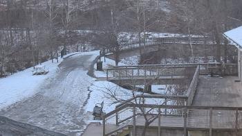 Weather camera view of Lake Roland Nature Council.