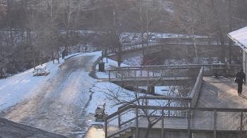 Weather camera view of Lake Roland Nature Council.