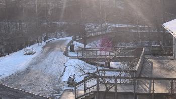 Weather camera view of Lake Roland Nature Council.