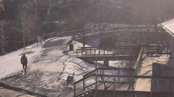 Weather camera view of Lake Roland Nature Council.