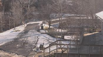 Weather camera view of Lake Roland Nature Council.