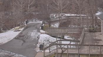 Weather camera view of Lake Roland Nature Council.