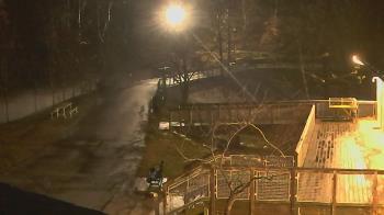 Weather camera view of Lake Roland Nature Council.