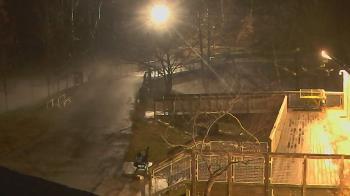 Weather camera view of Lake Roland Nature Council.