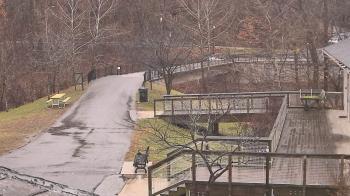 Weather camera view of Lake Roland Nature Council.