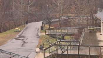 Weather camera view of Lake Roland Nature Council.