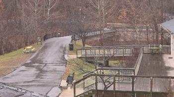 Weather camera view of Lake Roland Nature Council.