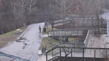 Weather camera view of Lake Roland Nature Council.