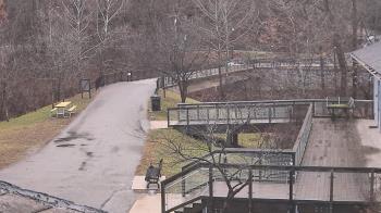 Weather camera view of Lake Roland Nature Council.