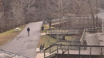 Weather camera view of Lake Roland Nature Council.