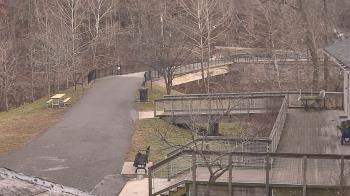 Weather camera view of Lake Roland Nature Council.