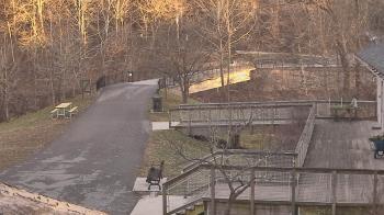 Weather camera view of Lake Roland Nature Council.