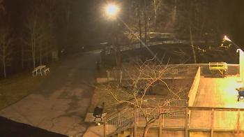 Weather camera view of Lake Roland Nature Council.