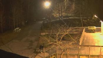 Weather camera view of Lake Roland Nature Council.