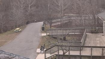 Weather camera view of Lake Roland Nature Council.