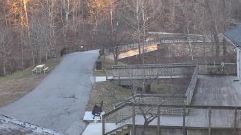 Weather camera view of Lake Roland Nature Council.