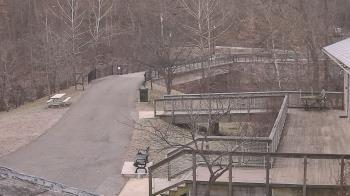 Weather camera view of Lake Roland Nature Council.