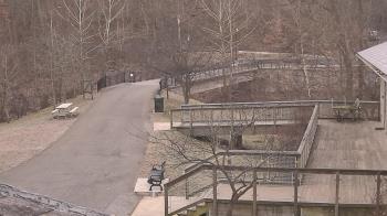 Weather camera view of Lake Roland Nature Council.