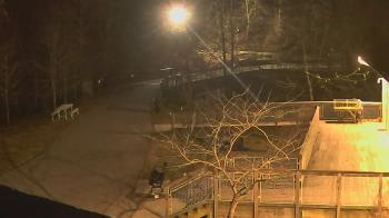 Weather camera view of Lake Roland Nature Council.