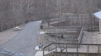 Weather camera view of Lake Roland Nature Council.