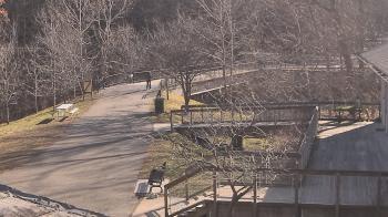 Weather camera view of Lake Roland Nature Council.