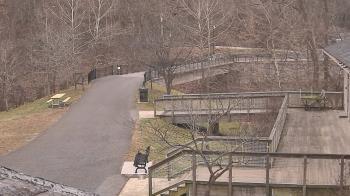 Weather camera view of Lake Roland Nature Council.