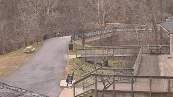 Weather camera view of Lake Roland Nature Council.