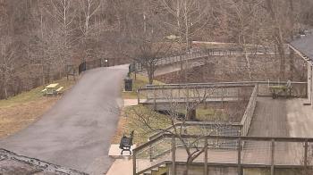 Weather camera view of Lake Roland Nature Council.