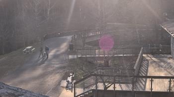 Weather camera view of Lake Roland Nature Council.