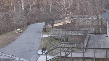 Weather camera view of Lake Roland Nature Council.