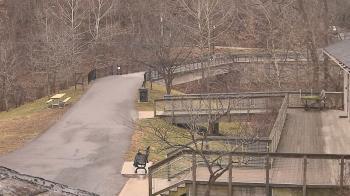 Weather camera view of Lake Roland Nature Council.