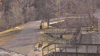 Weather camera view of Lake Roland Nature Council.
